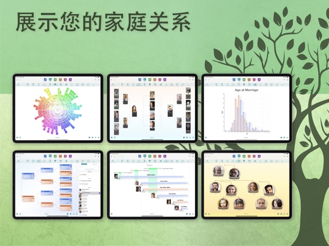 家谱制作软件 MobileFamilyTree 10 效率-第2张