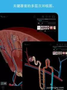 2026人体解剖学图谱 iOS苹果手机软件下载 医疗-第3张