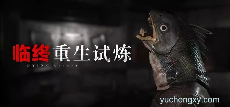 ​​​​临终：重生试练
