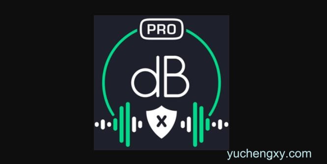 Decibel X PRO-专业噪声计和声压级