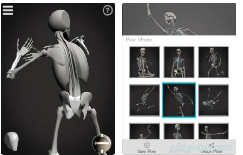 Skelly