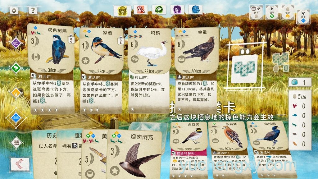 展翅翱翔 WINGSPAN 卡牌-第1张