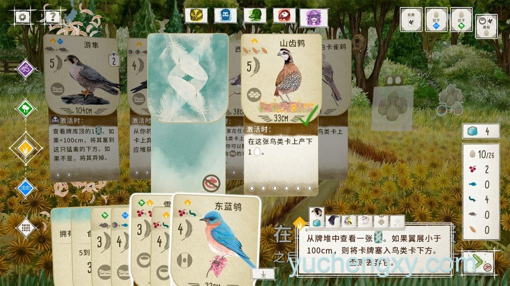 展翅翱翔 WINGSPAN 卡牌-第4张