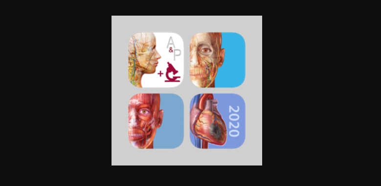 2025人体解剖学图谱+解剖和生理学+生理和病理学+肌肉与运动机能学 医学套装